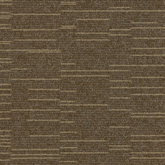 Paragon El;emental Starfield Shower