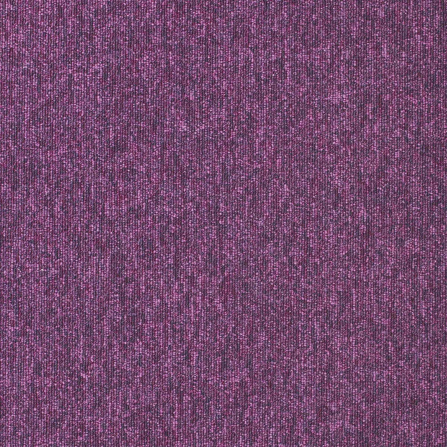 paragon diversity carpet tile Purple