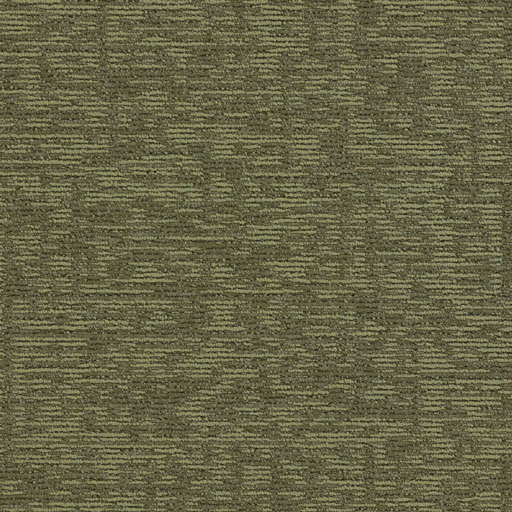 Paragon Elemental Hornbeam Broadleaf oak