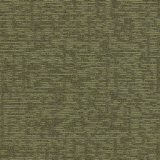 Paragon Elemental Hornbeam Broadleaf oak