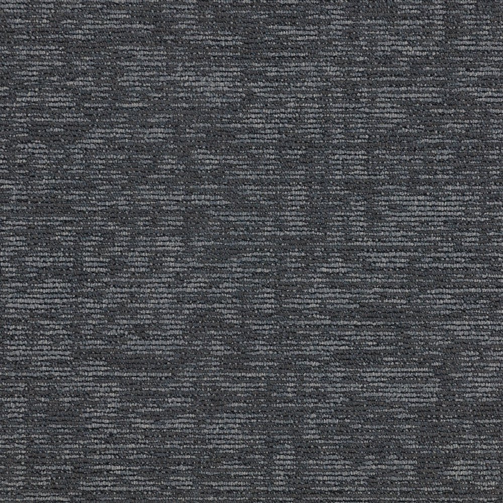 Paragon Elemental Hornbeam  Coppice Dawn