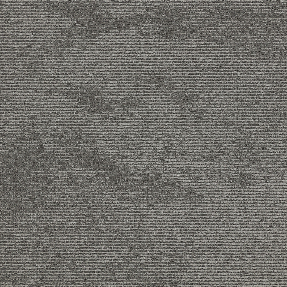 Paragon Heathstar Dappled Grey