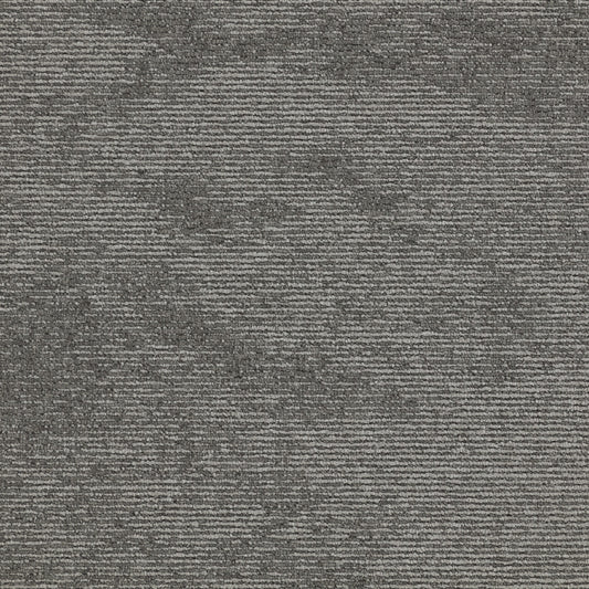 Paragon Heathstar Dappled Grey