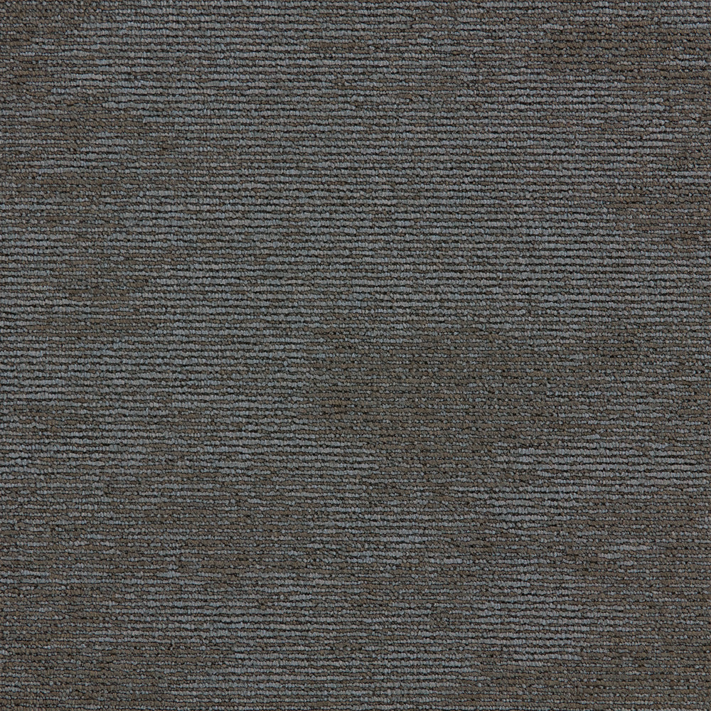 Paragon Heathstar Dune Moonlight