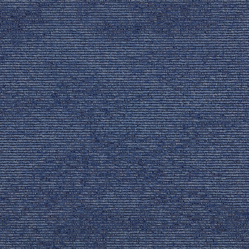 Paragon Heathstar Wildflower Blue