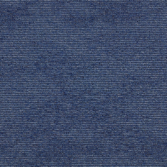 Paragon Heathstar Wildflower Blue