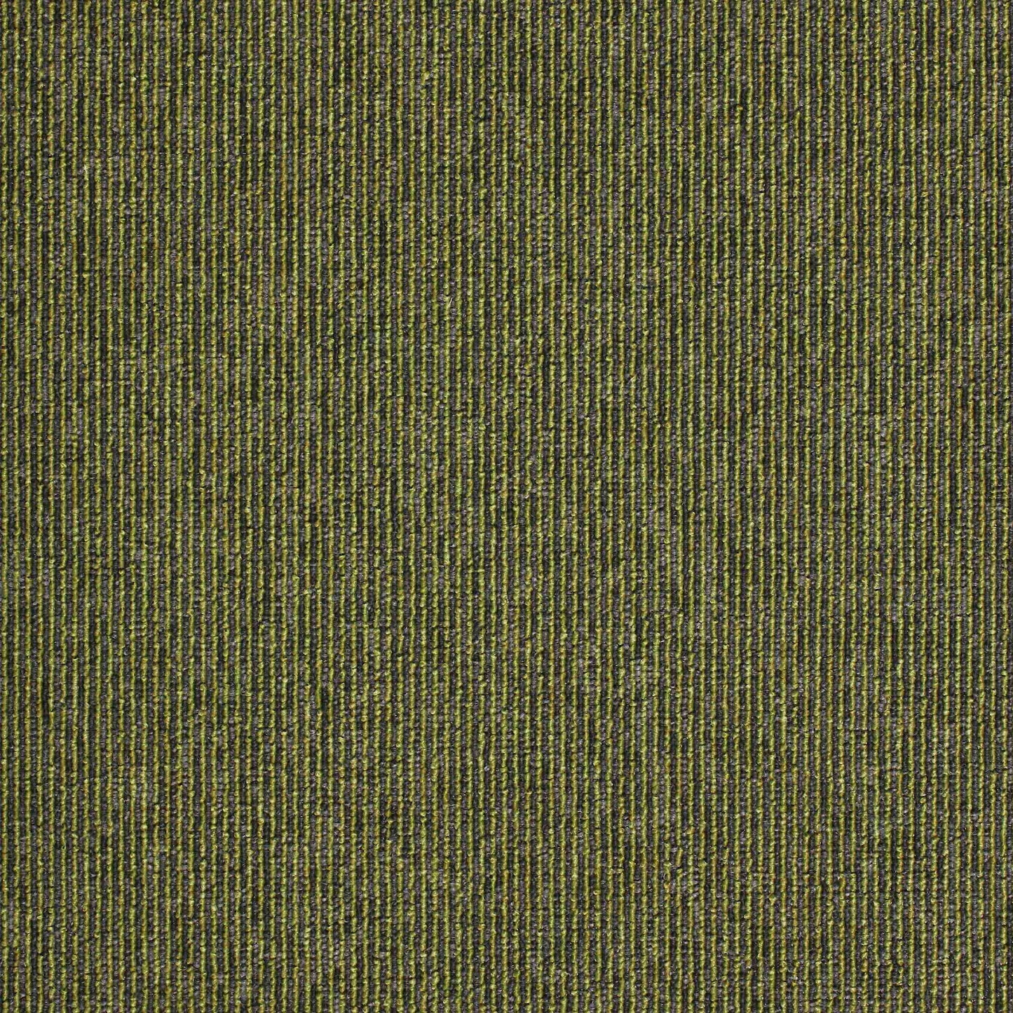 paragon macaw stripe carpet tile Green
