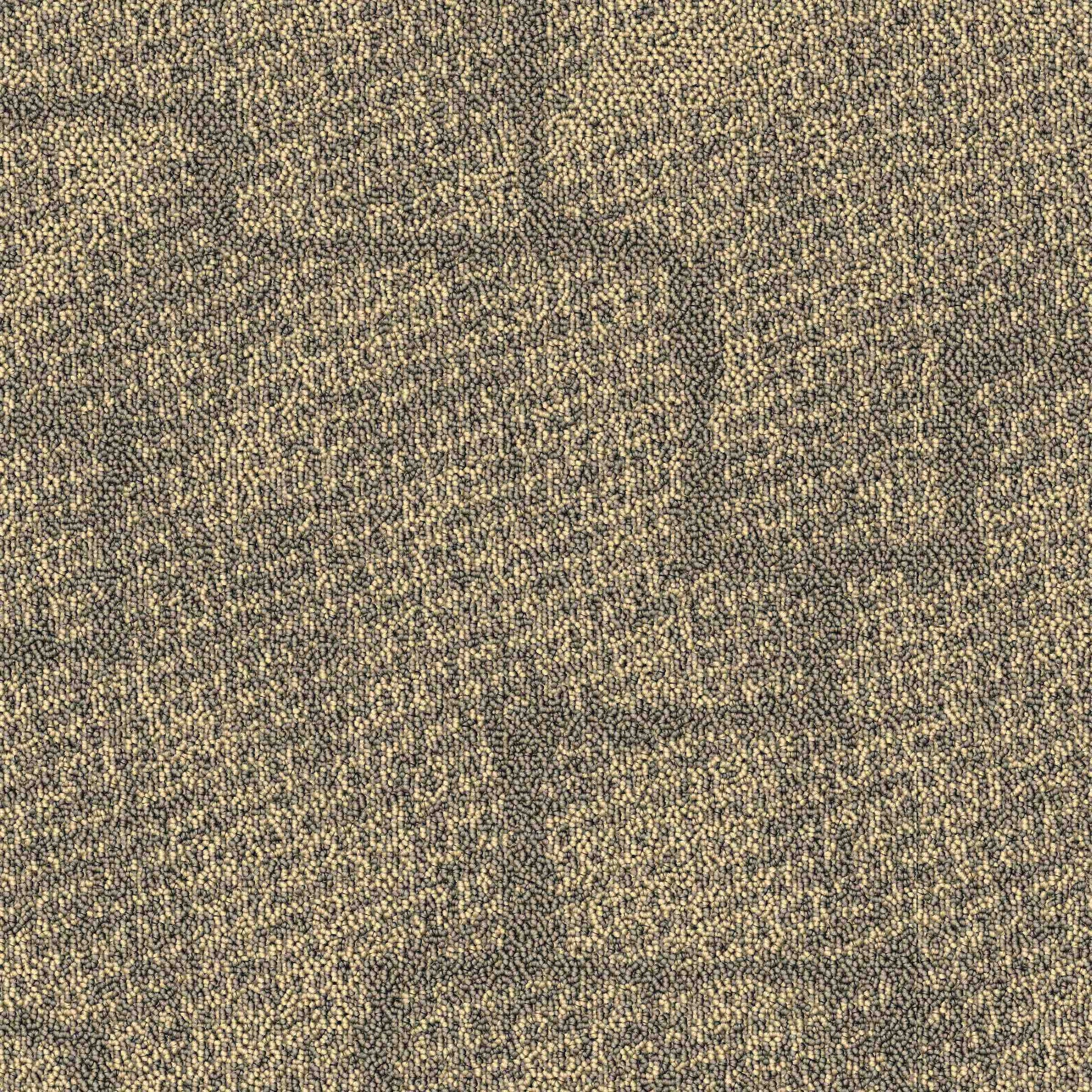 Paragon Inspirations Mesh Burly Wood