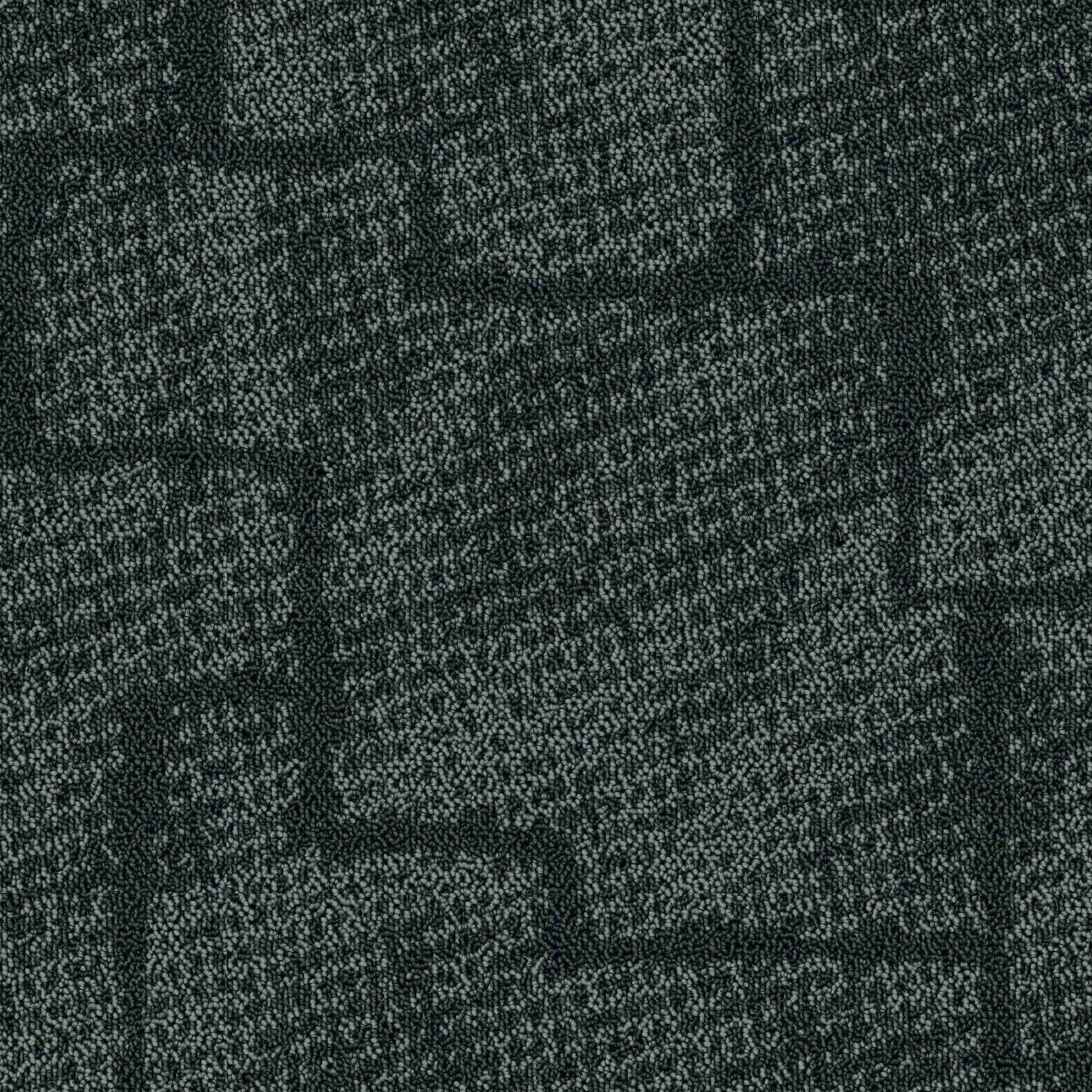 Paragon Inspirations Mesh Shadow Bone