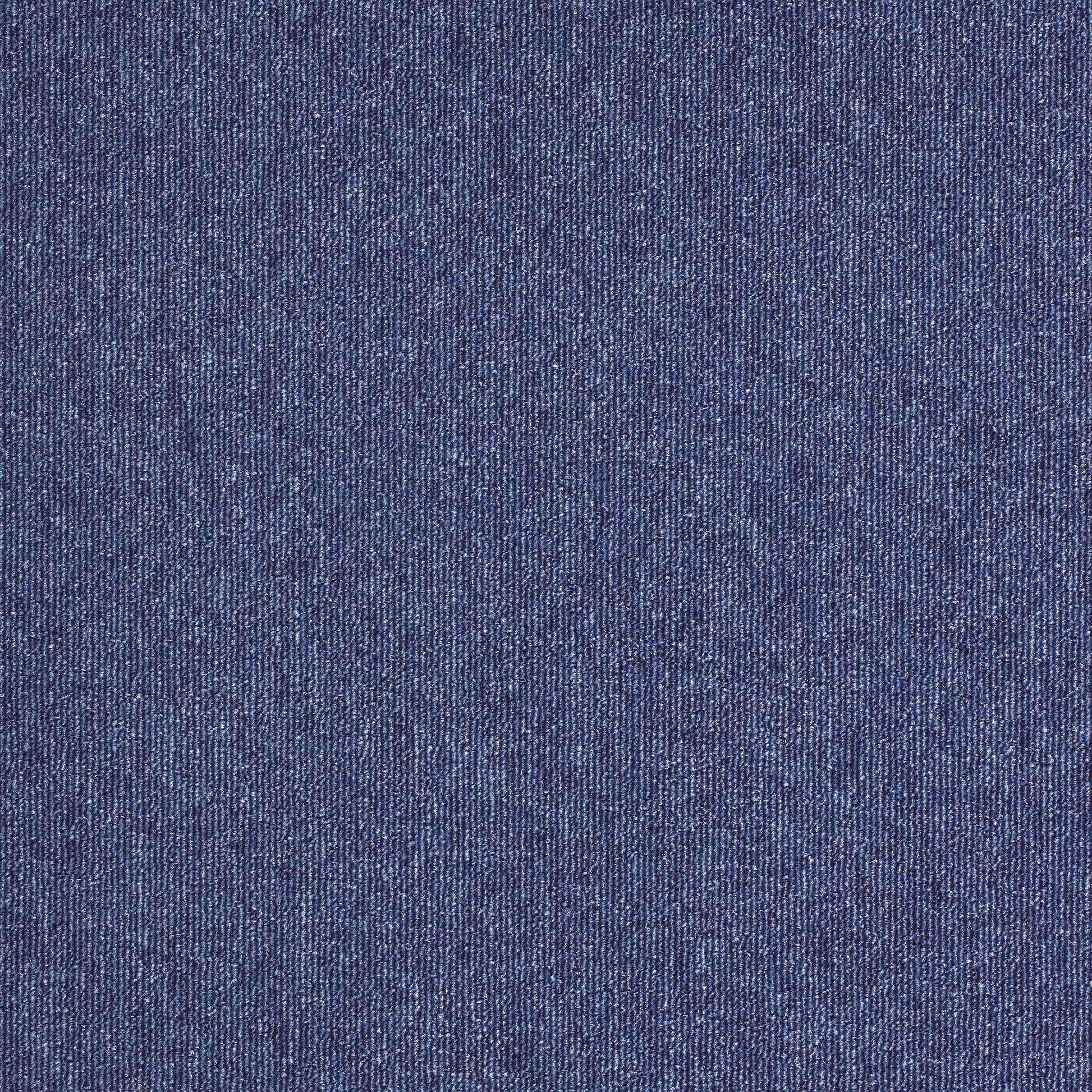 paragon sirocco  carpet tile Blue