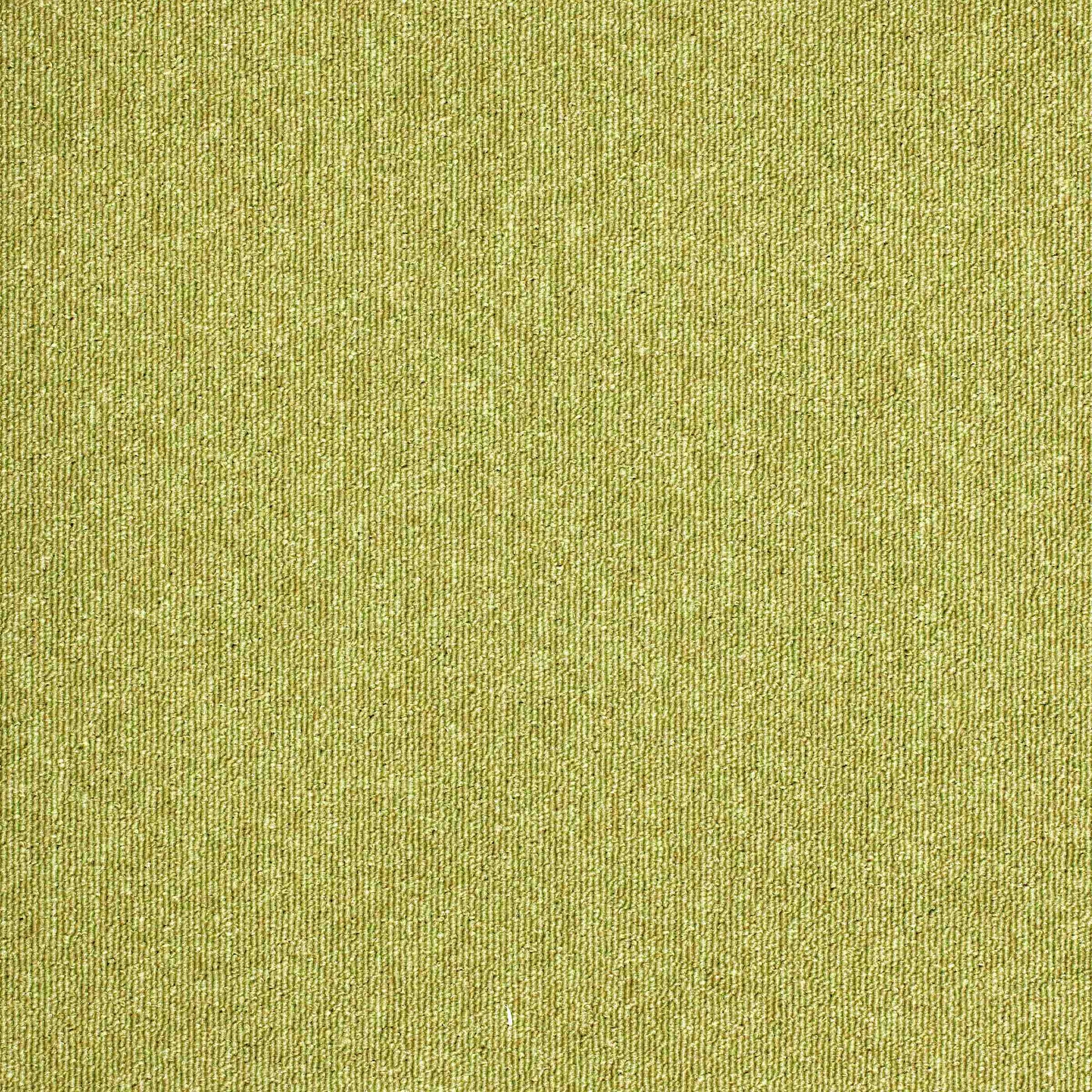 paragon sirocco  carpet tile Green