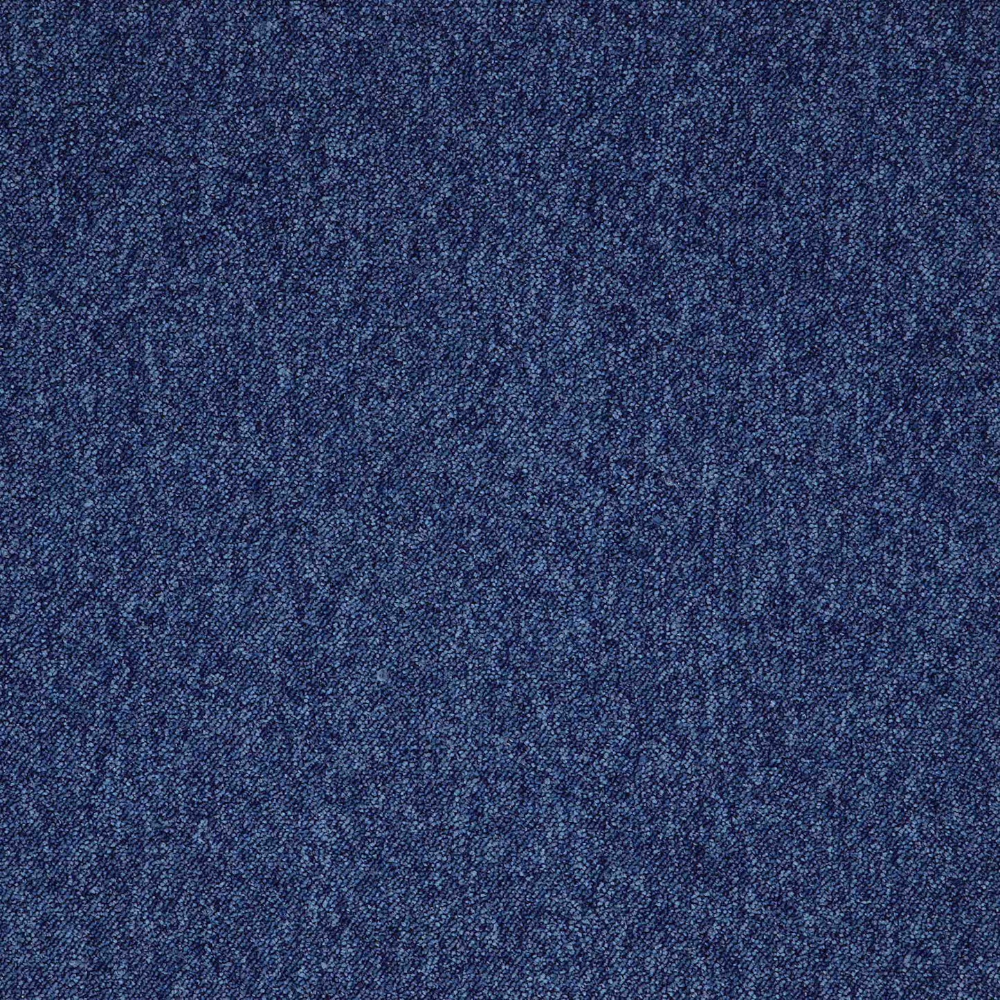 paragon toccarre carpet tile Blue