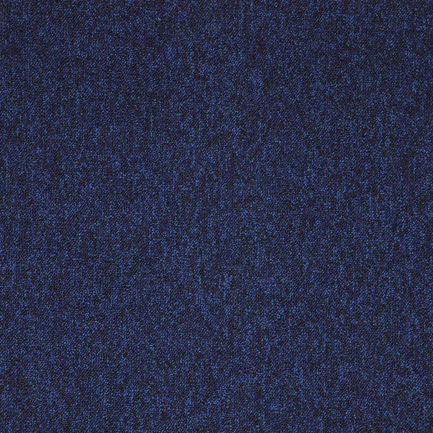 paragon toccarre carpet tile Blue