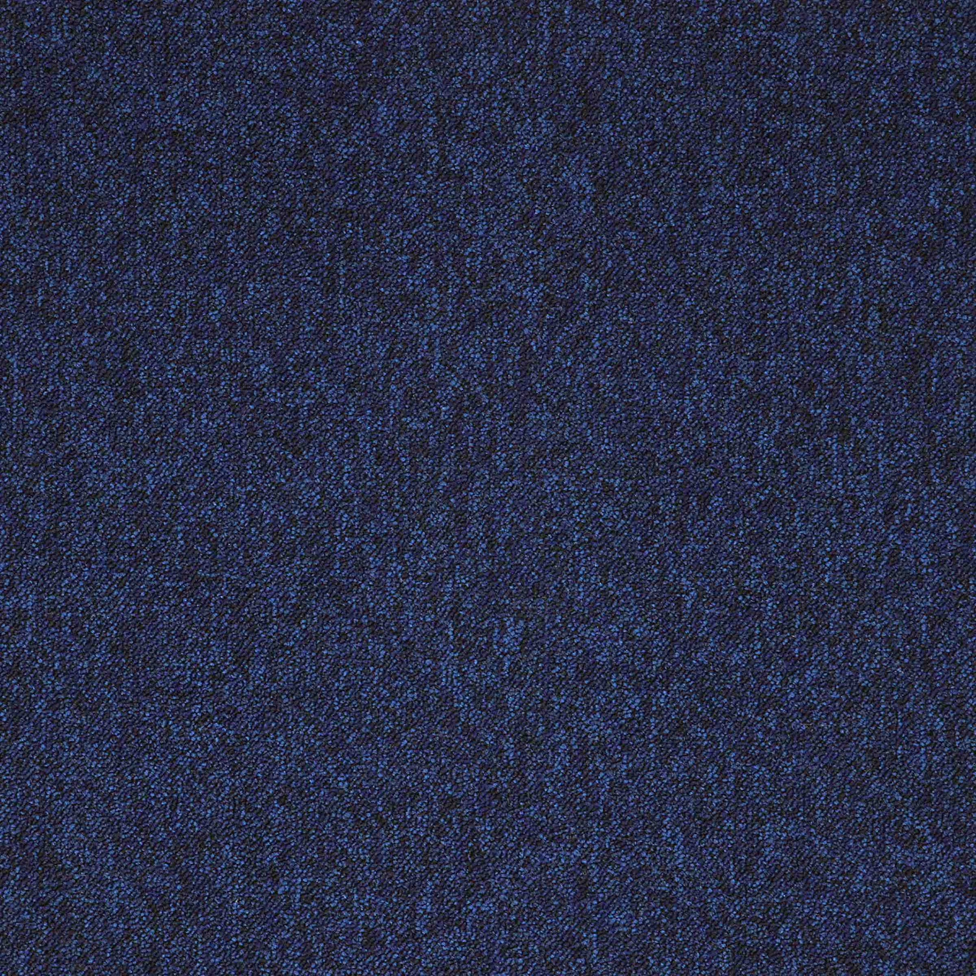 paragon toccarre carpet tile Blue