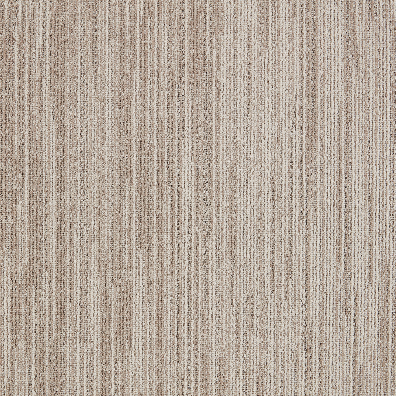 JHS Outline Carpet Tiles Vanilla