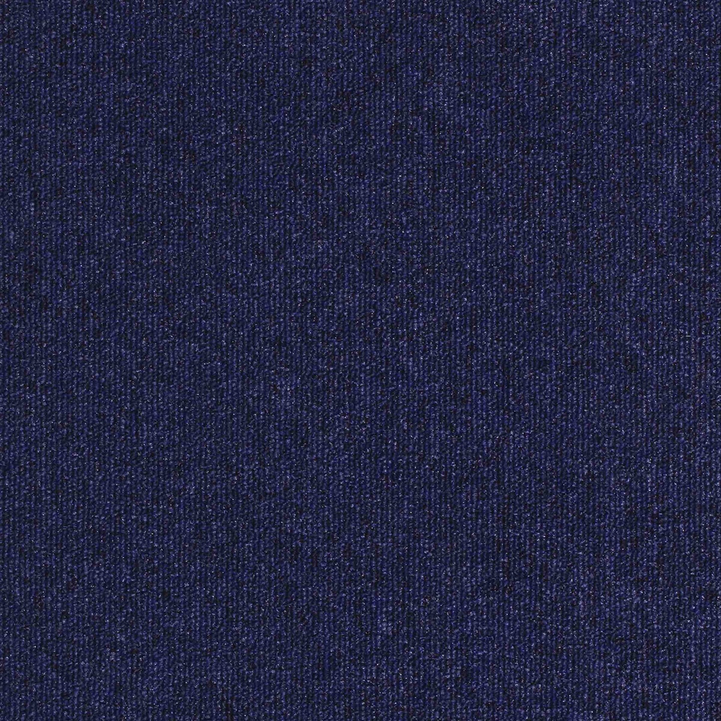 paragon workspace loop carpet tile Blue