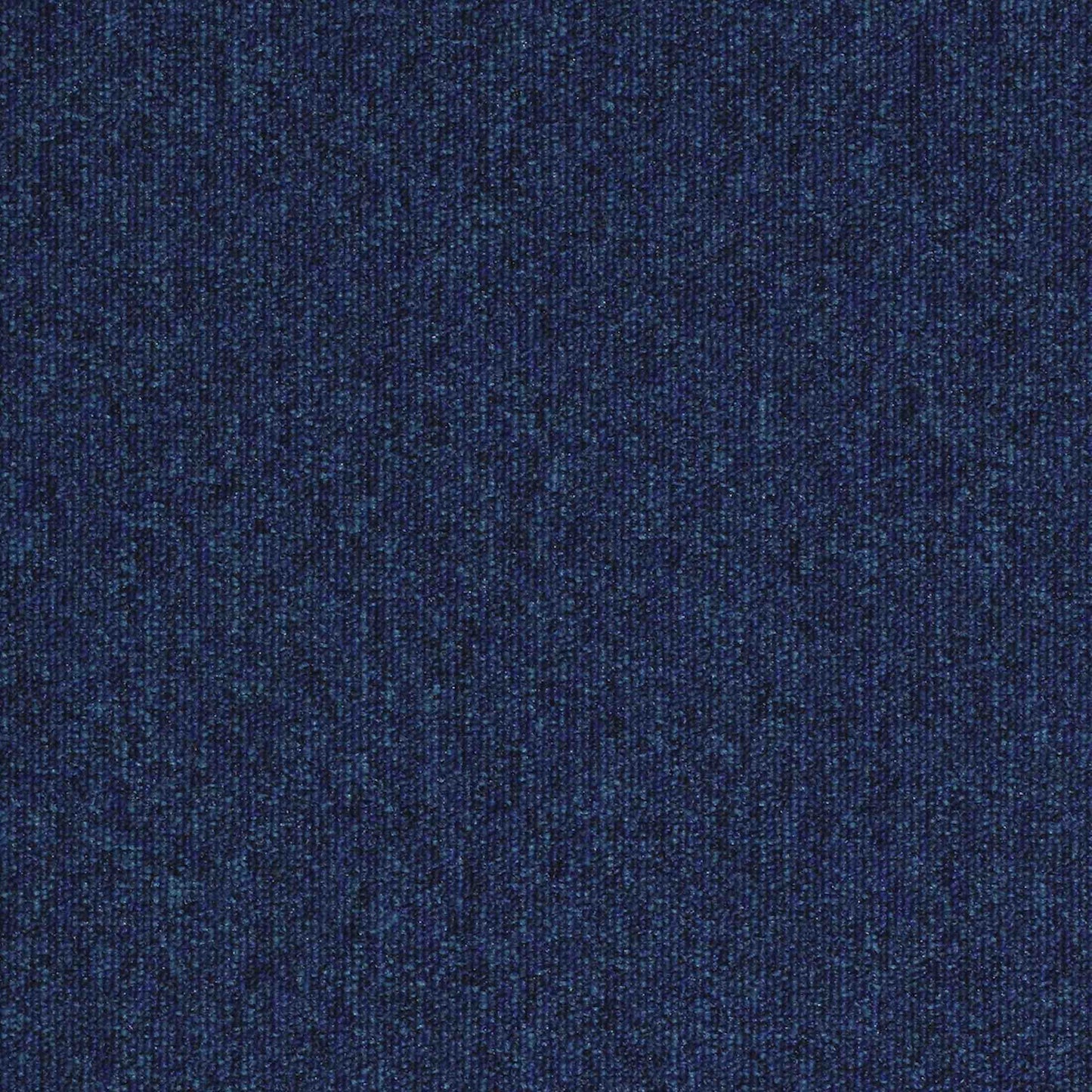 paragon workspace loop carpet tile Blue