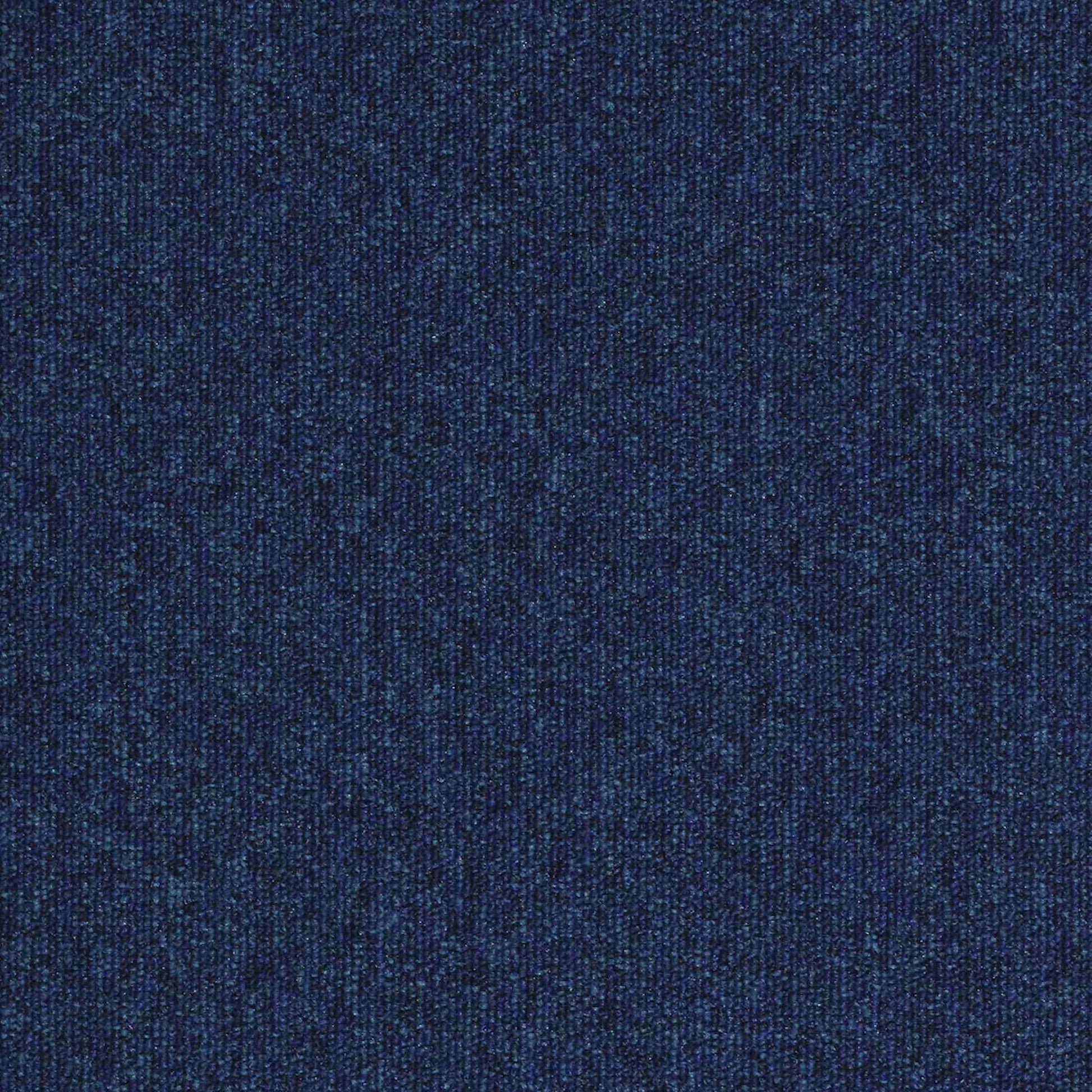 paragon workspace loop carpet tile Blue