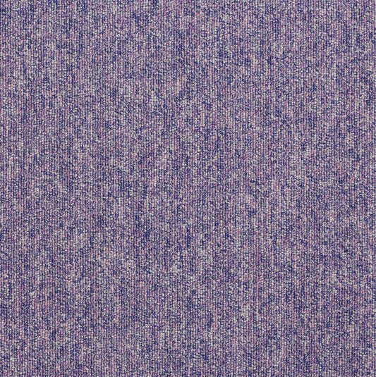 paragon workspace loop carpet tile Purple