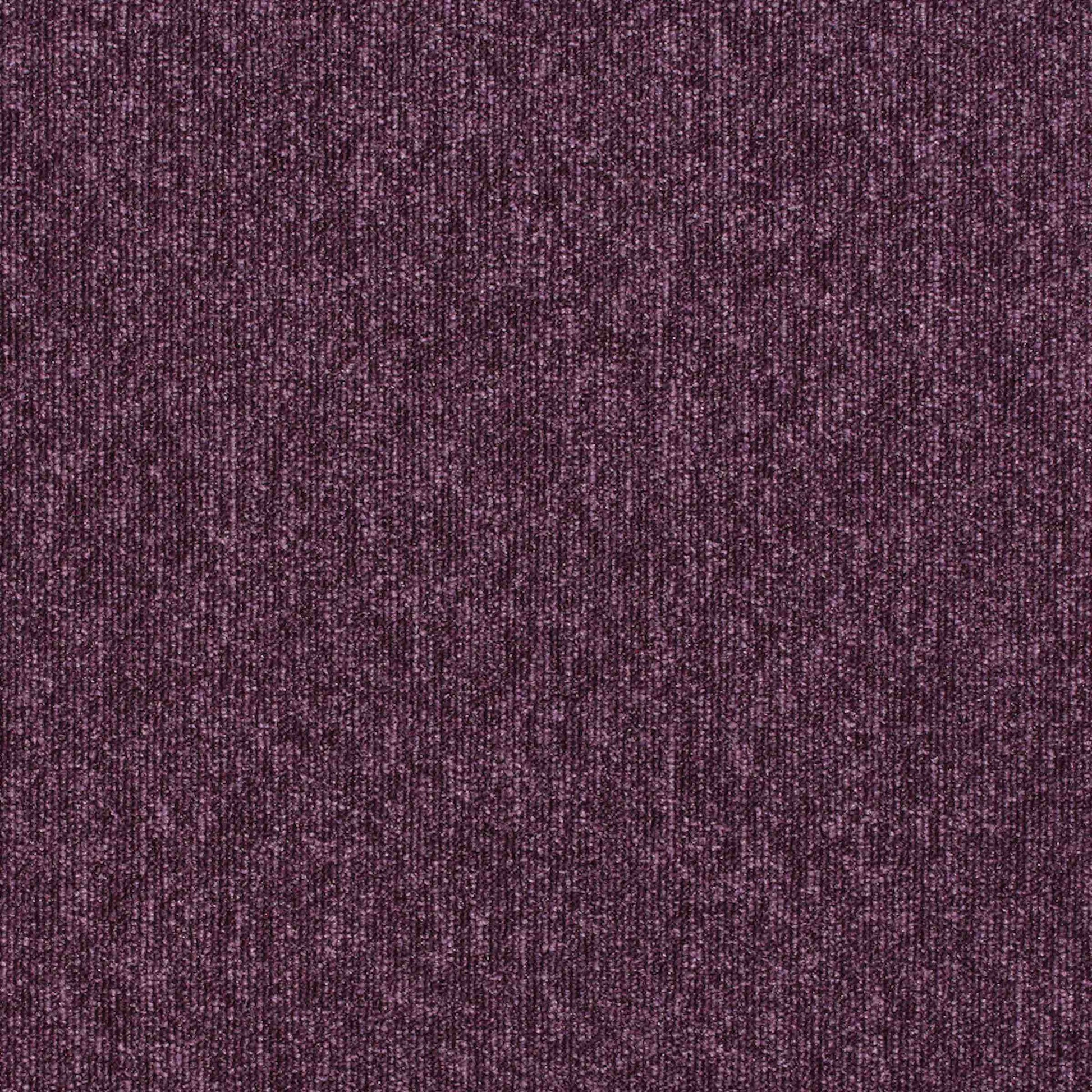paragon workspace loop carpet tile Purple