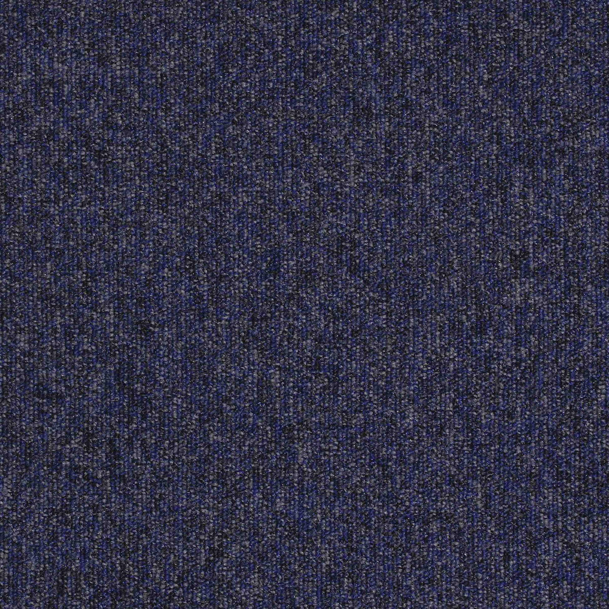 paragon workspace loop carpet tile Blue