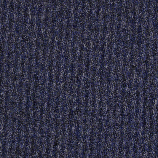 paragon workspace loop carpet tile Blue