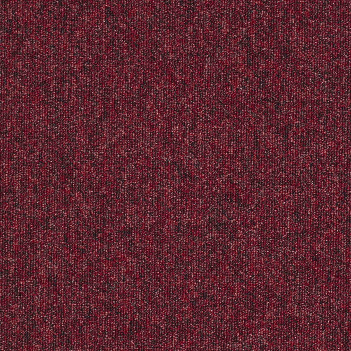 paragon workspace loop carpet tile Red
