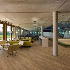 polyflor expona commercial luxury vinyl tiles lvt 