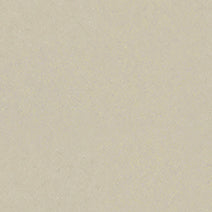 polyflor expona flow sheet vinyl Beige