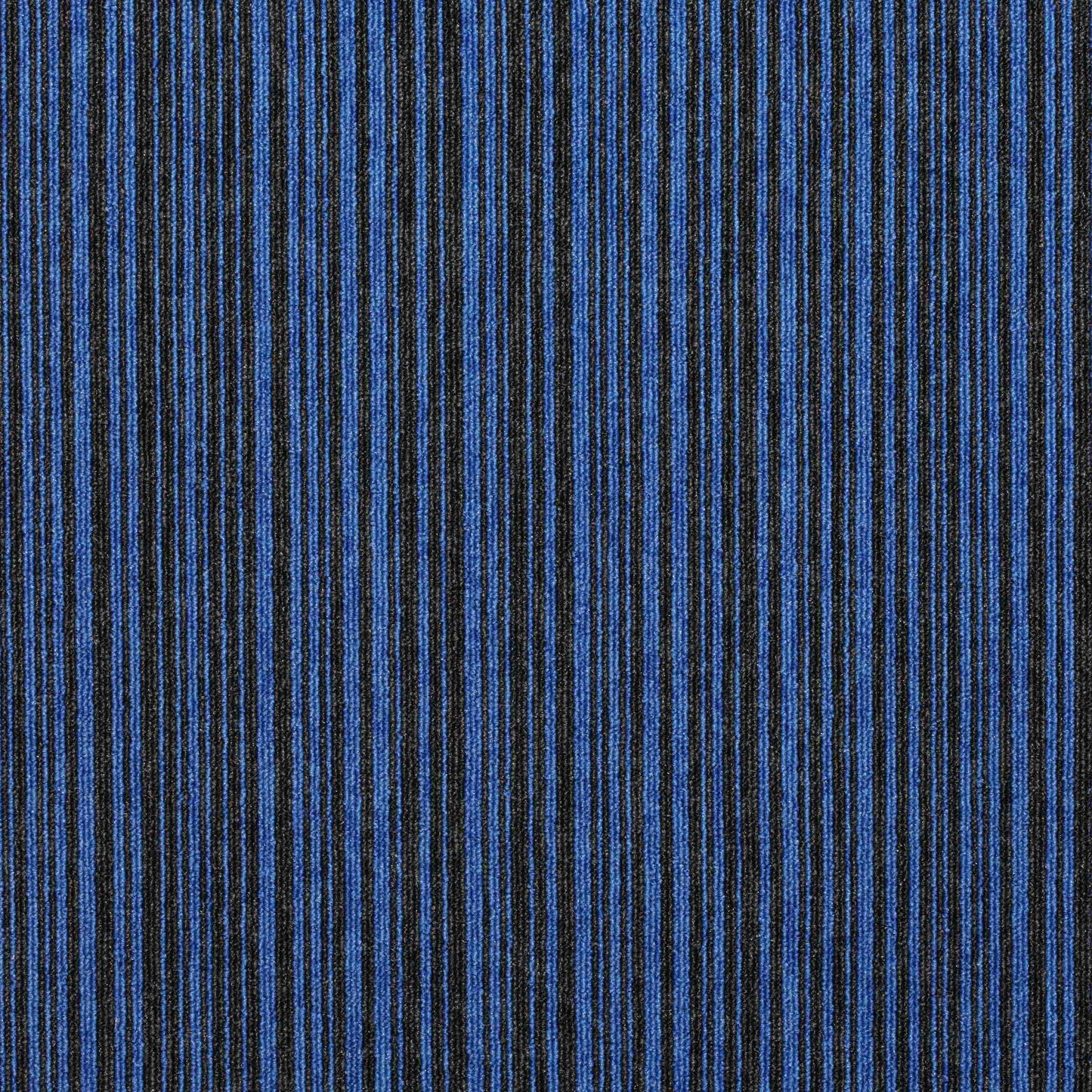 Paragon Codec Carpet Tiles Blue