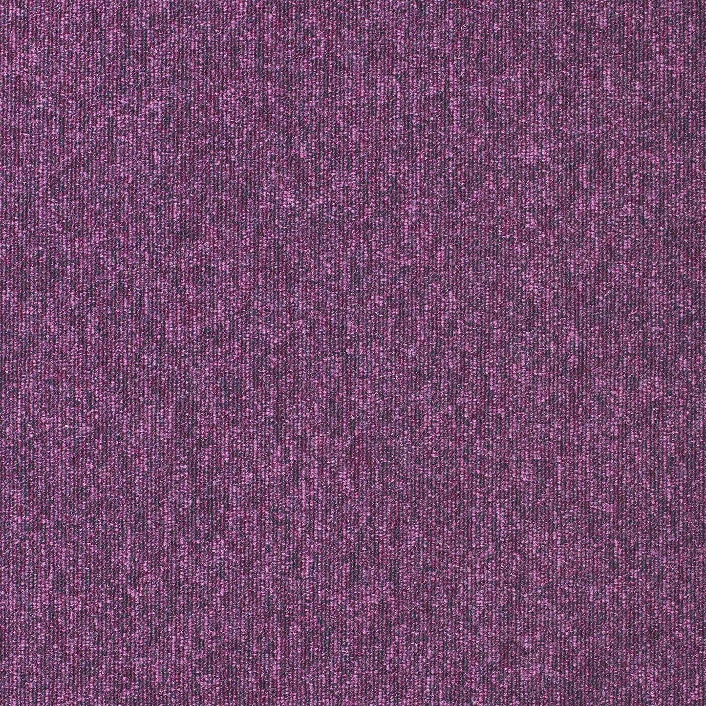 paragon diversity carpet tile Purple