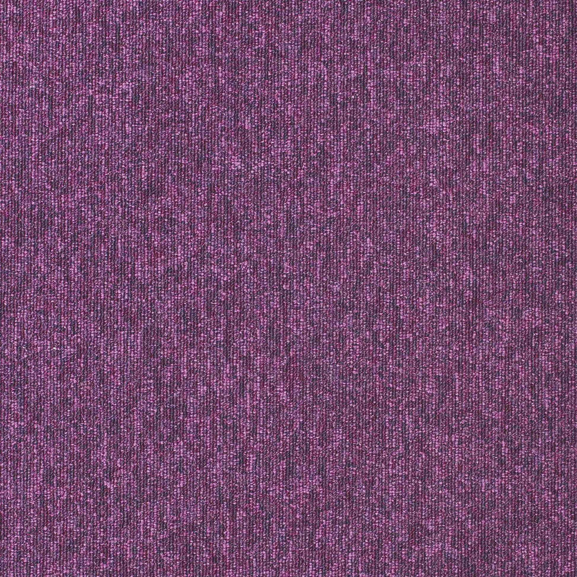 paragon diversity carpet tile Purple