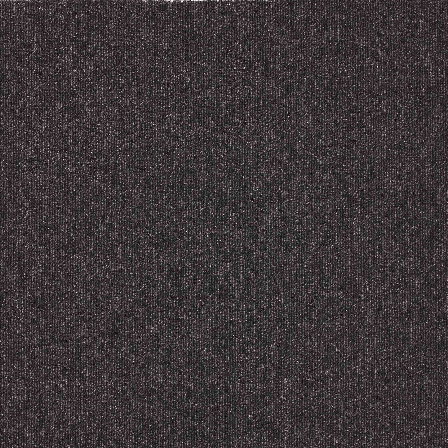 paragon macaw carpet tile Black