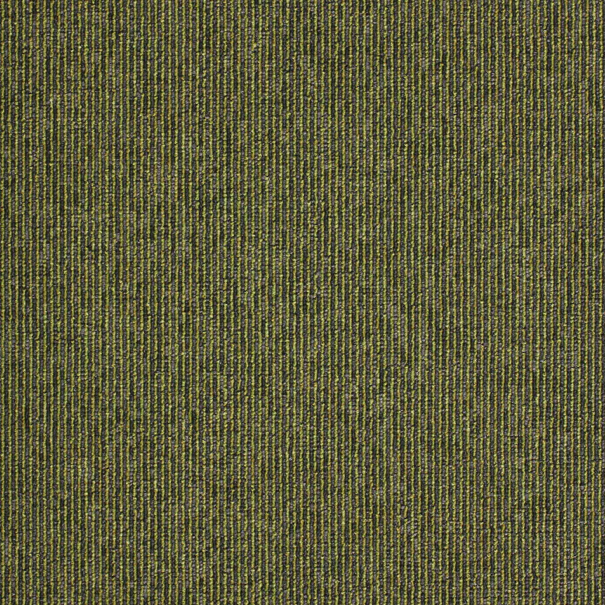 paragon macaw stripe carpet tile Green