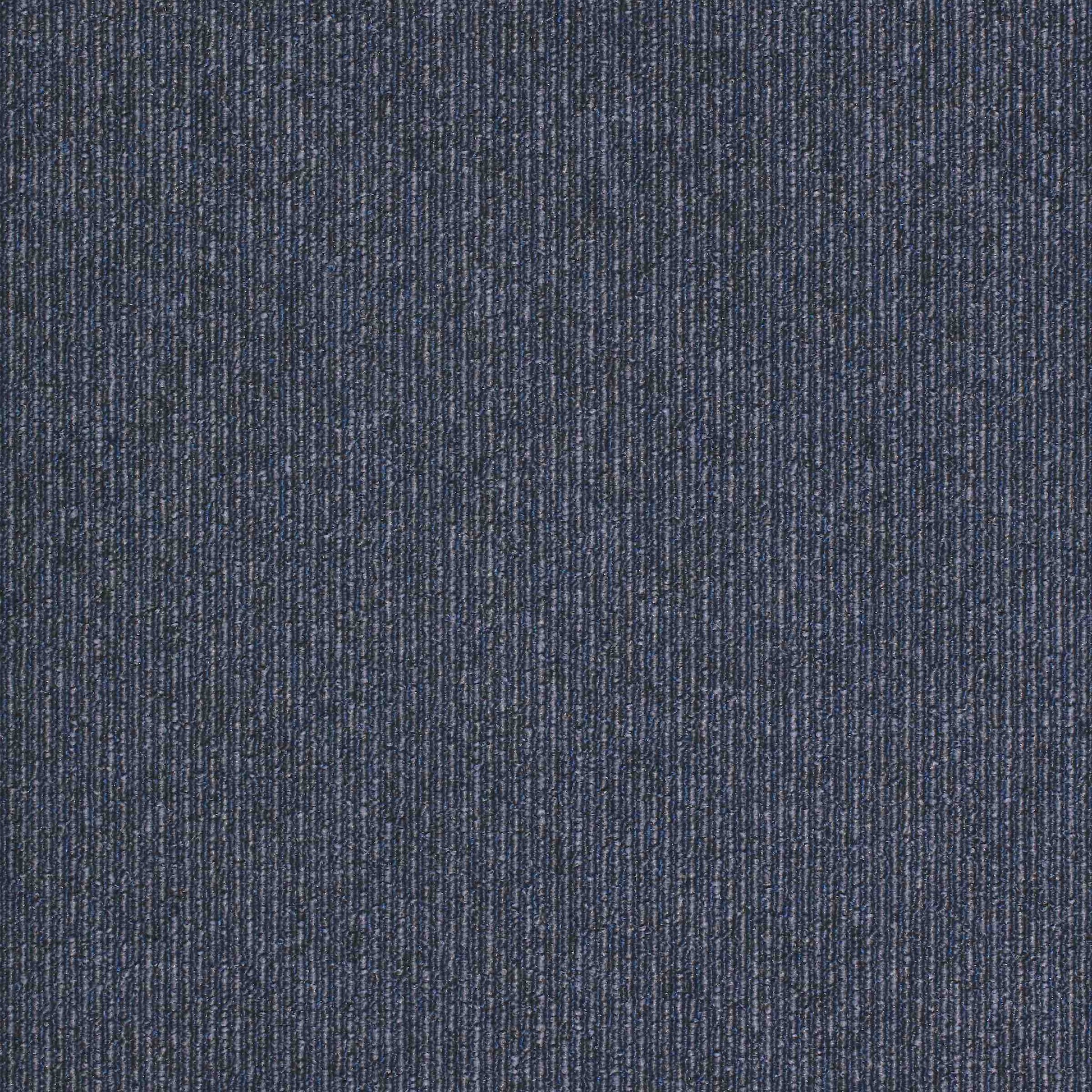 paragon macaw stripe carpet tile Blue