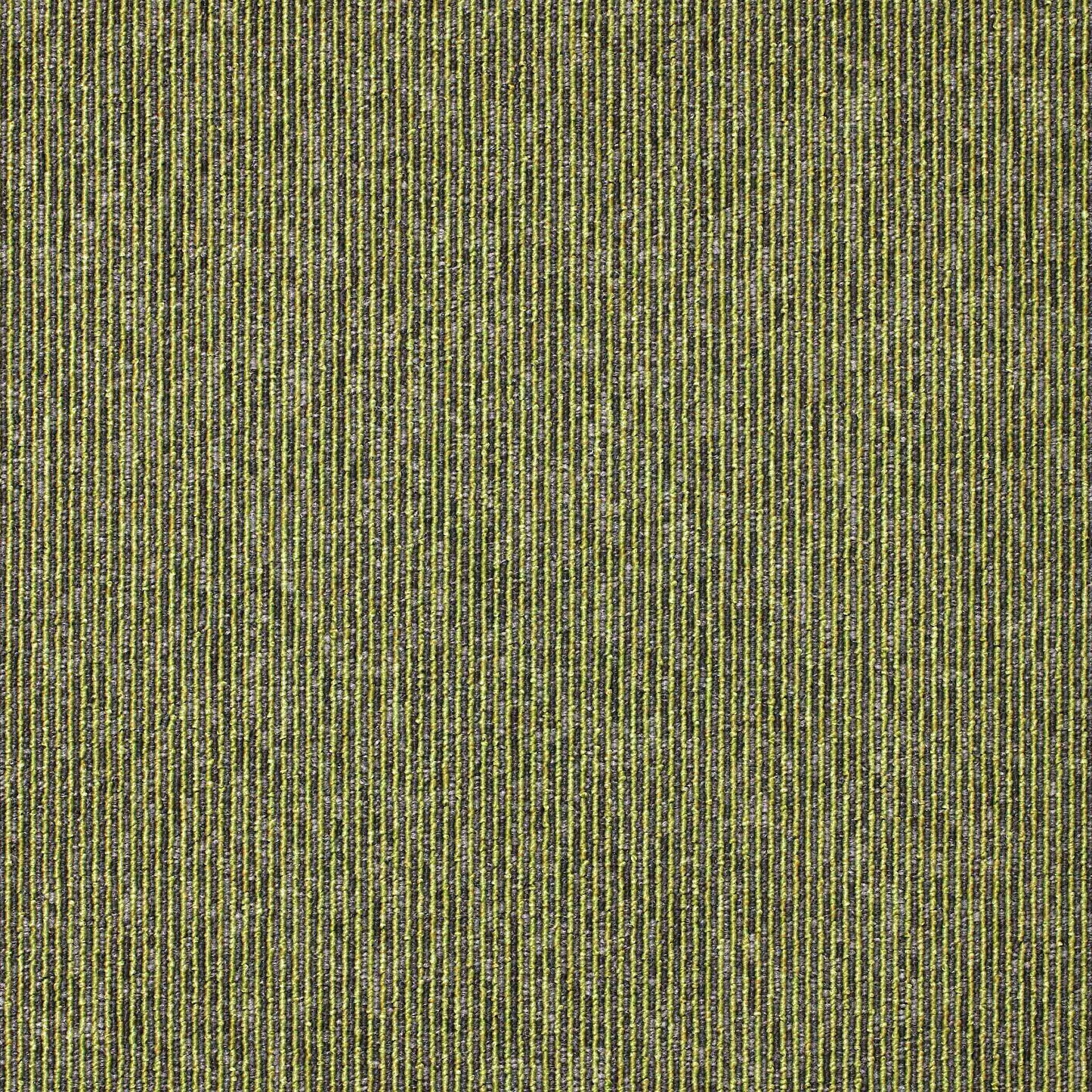 paragon sirocco stripe carpet tile Green