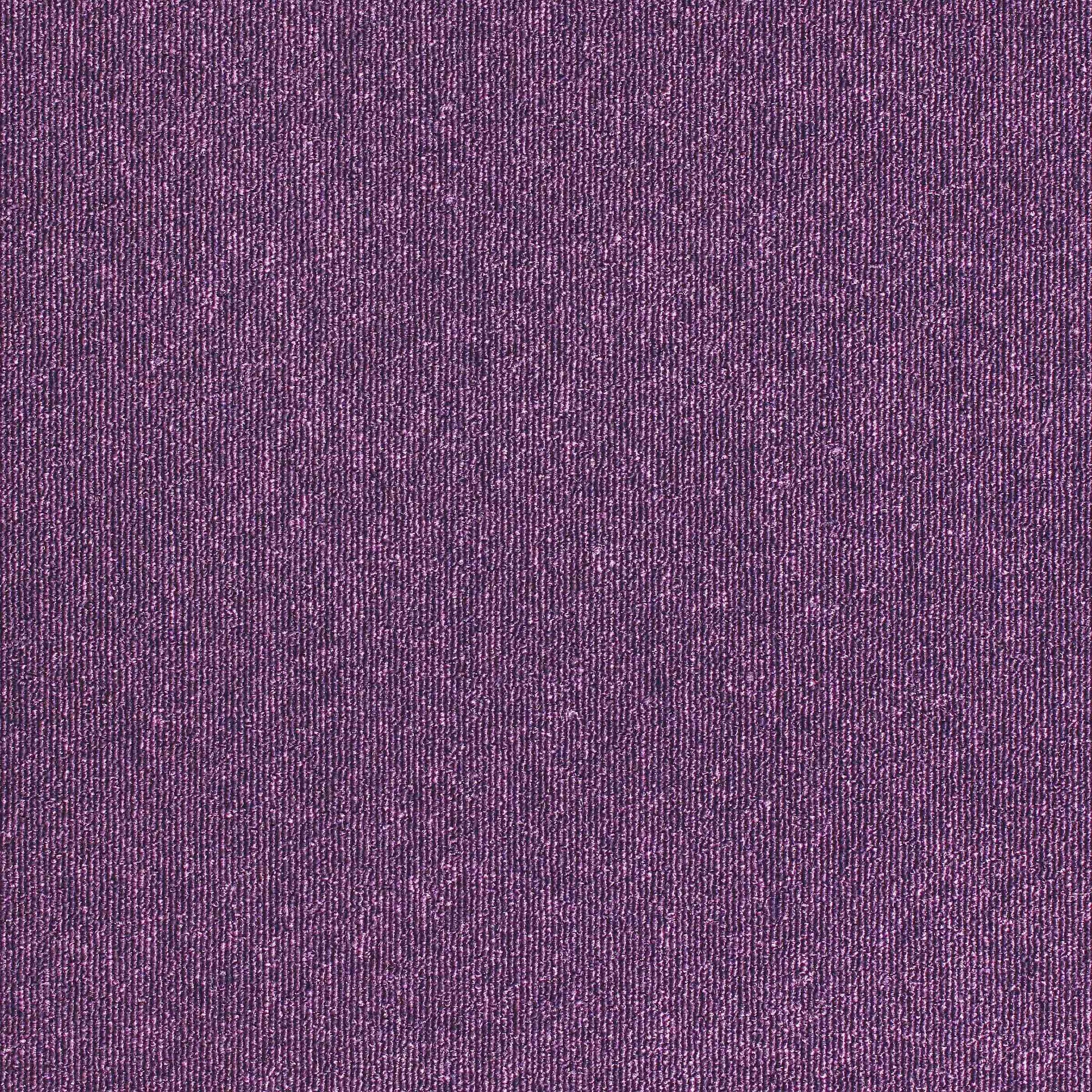 paragon sirocco  carpet tile Purple