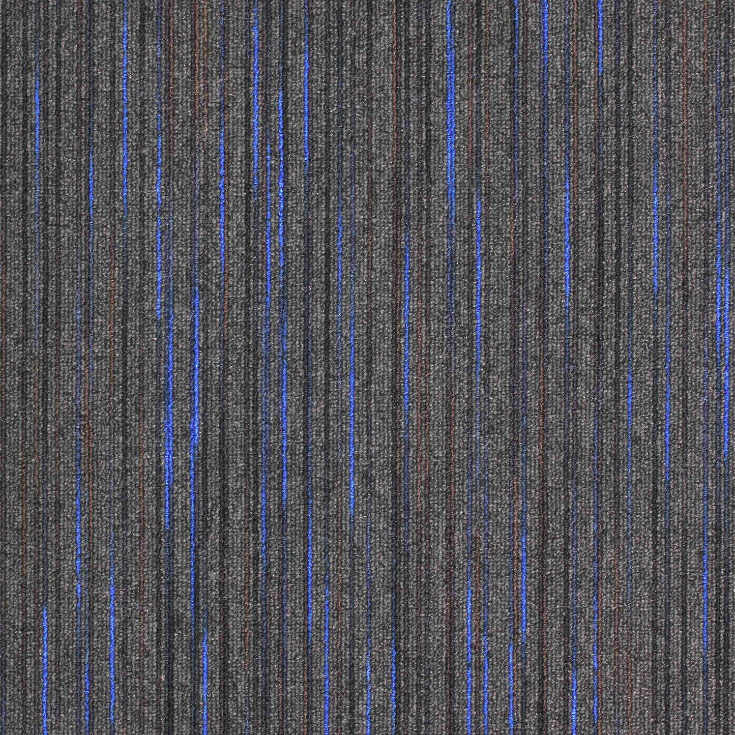 paragon strobe carpet tile Blue