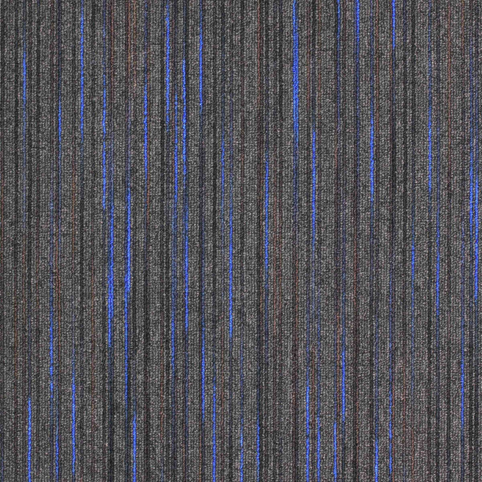 paragon strobe carpet tile Blue