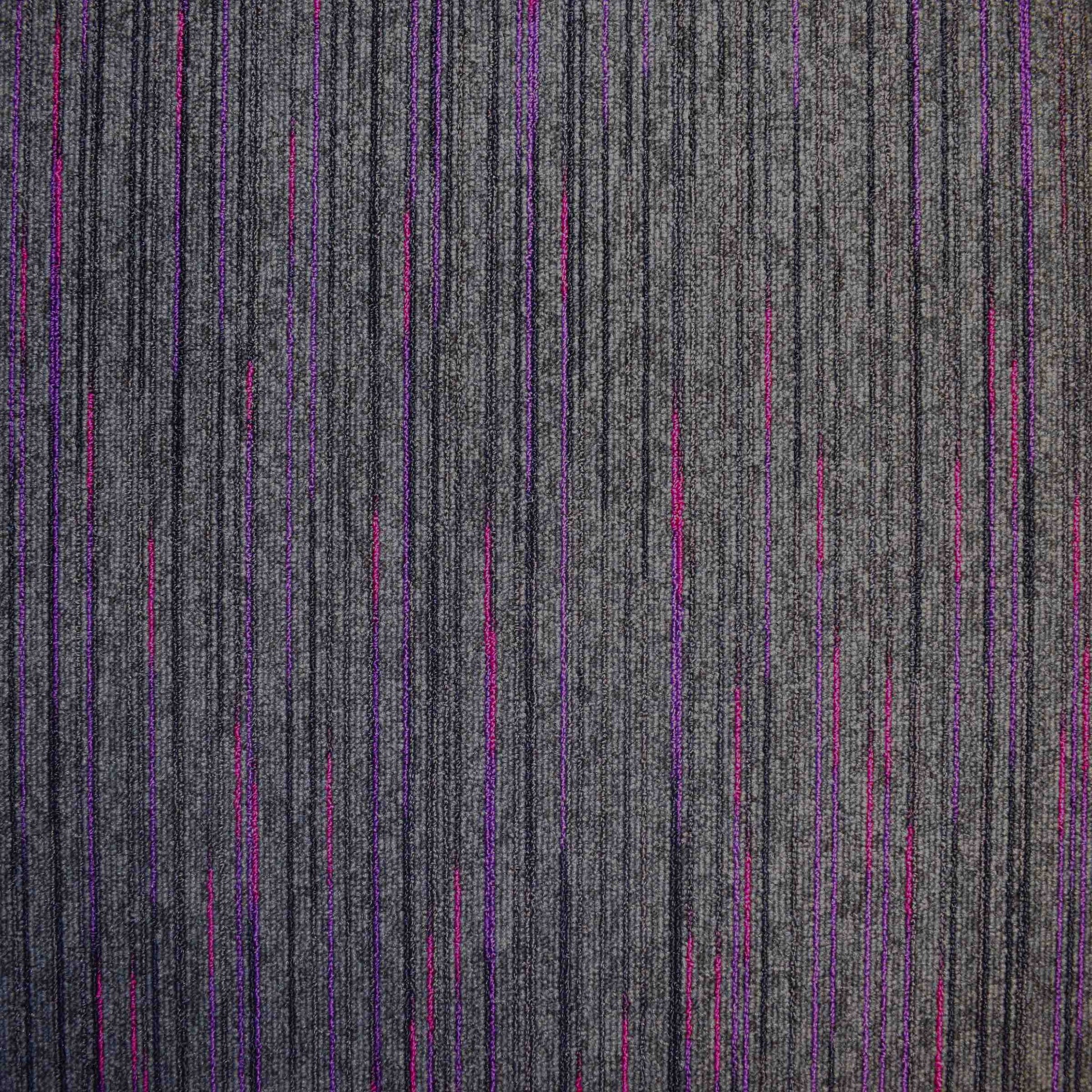 paragon strobe carpet tile Purple