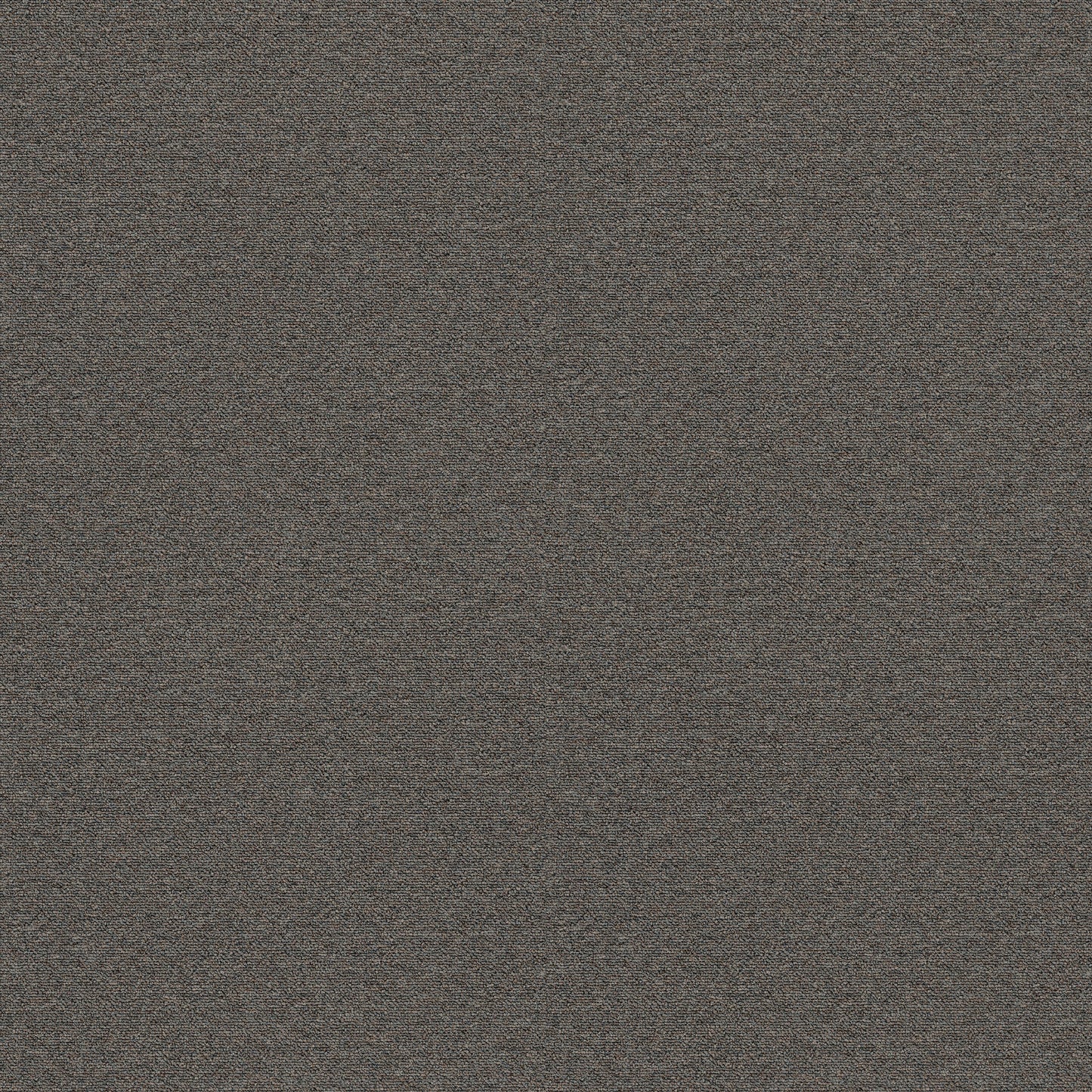 forbo tessera layout carpet tile Grey