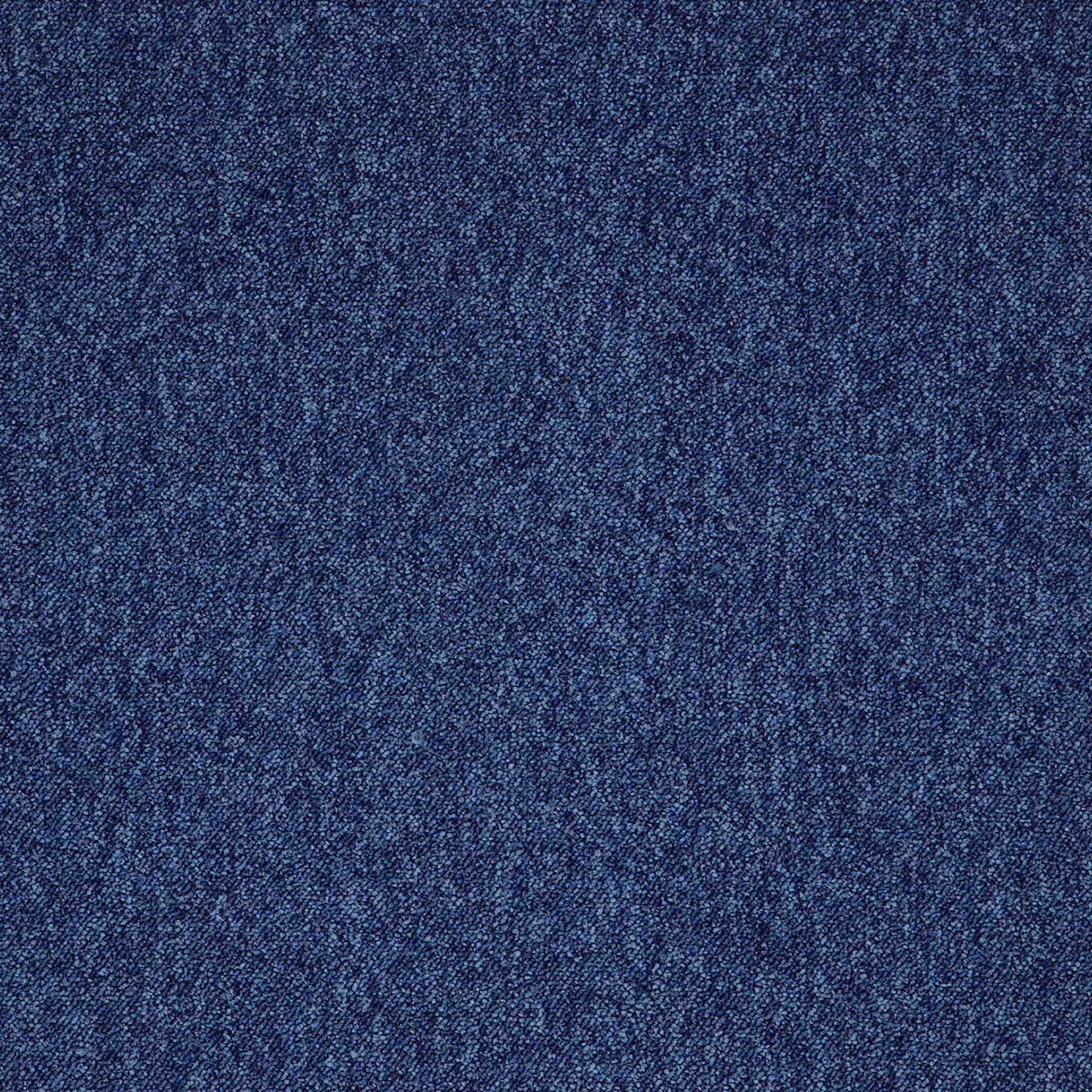 paragon toccarre carpet tile Blue