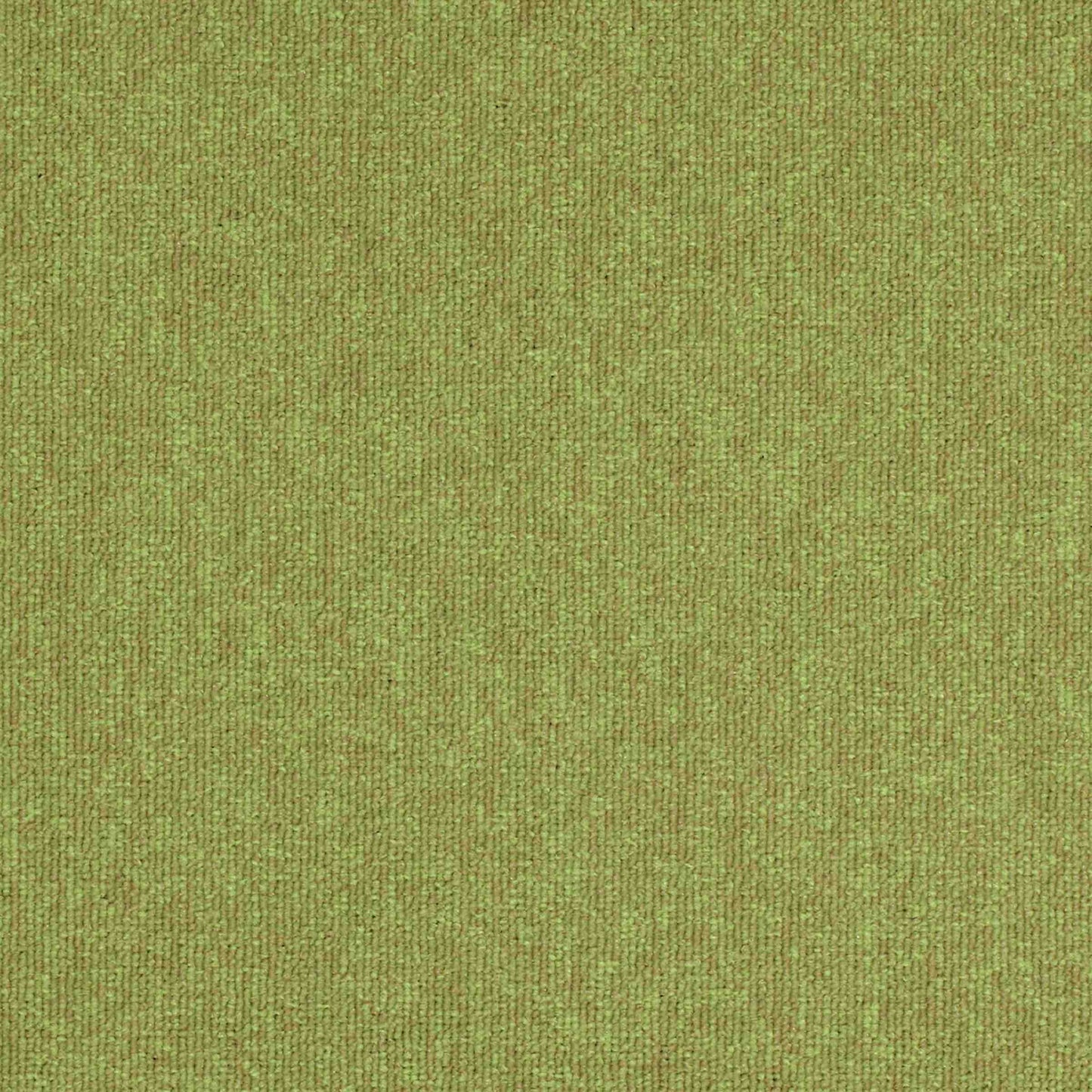 paragon workspace loop carpet tile Green