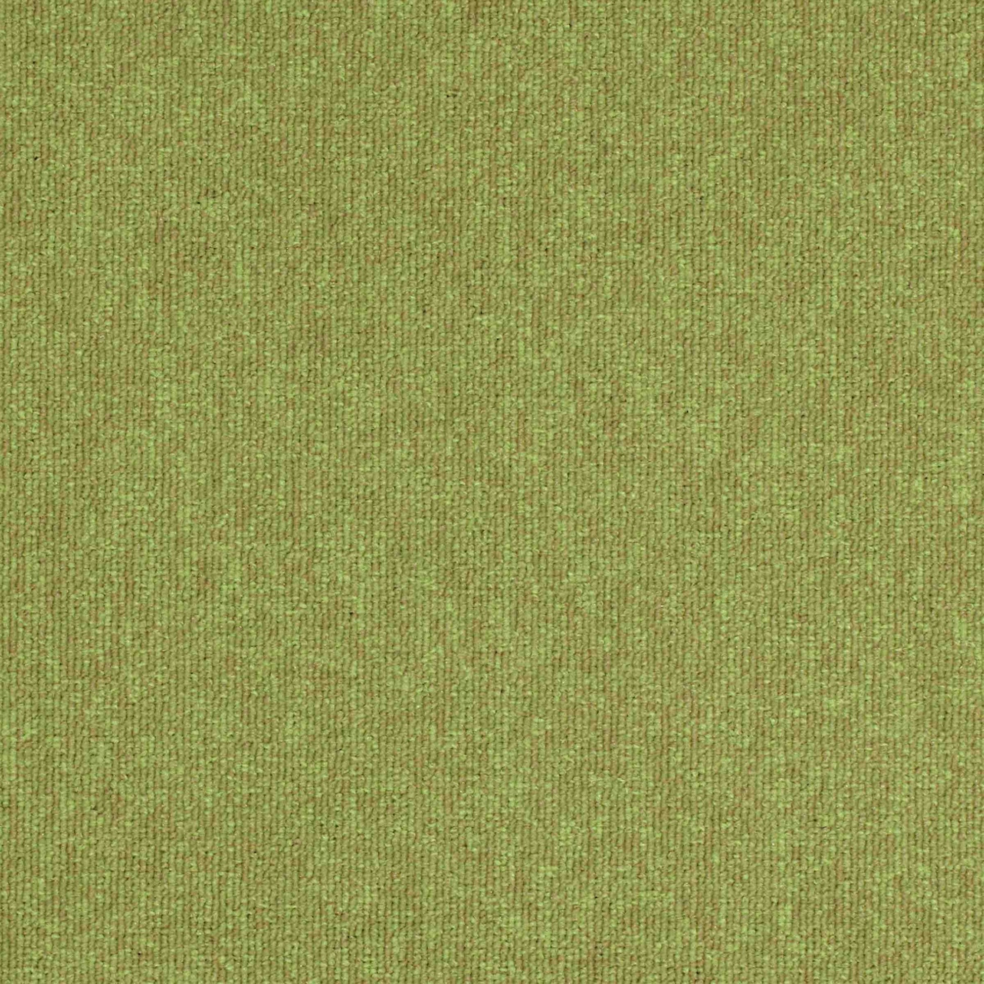 paragon workspace loop carpet tile Green