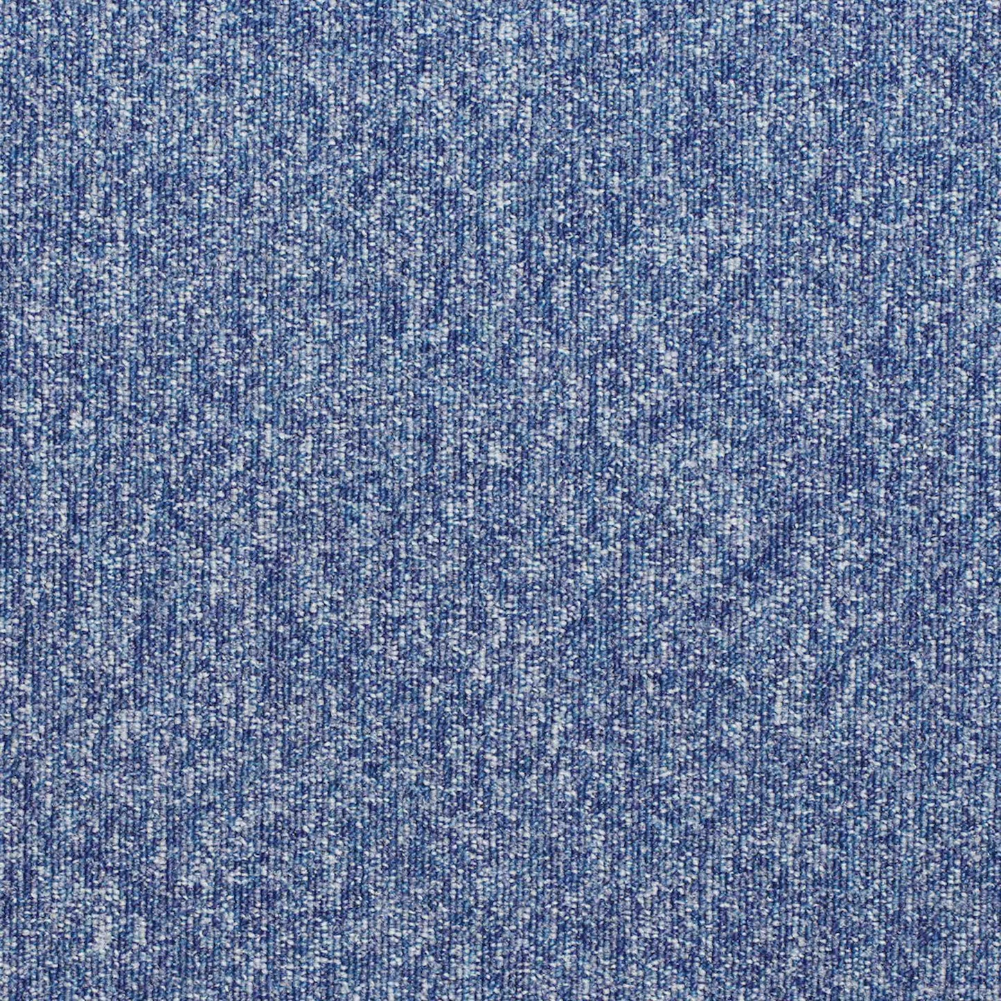 paragon workspace loop carpet tile Blue