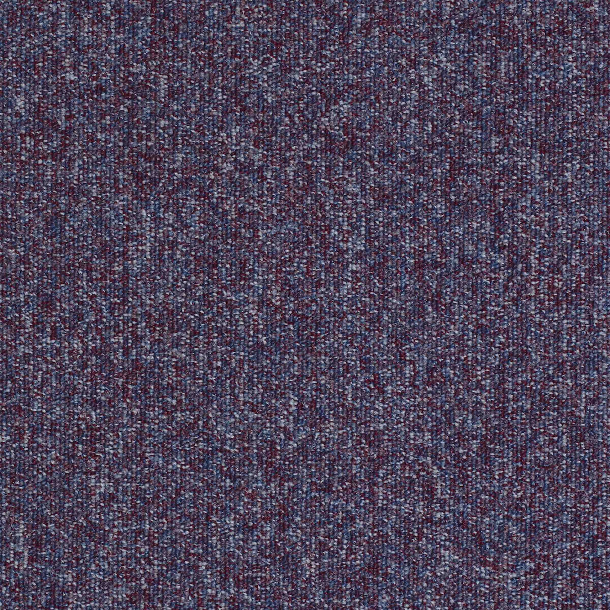 paragon workspace loop carpet tile Blue