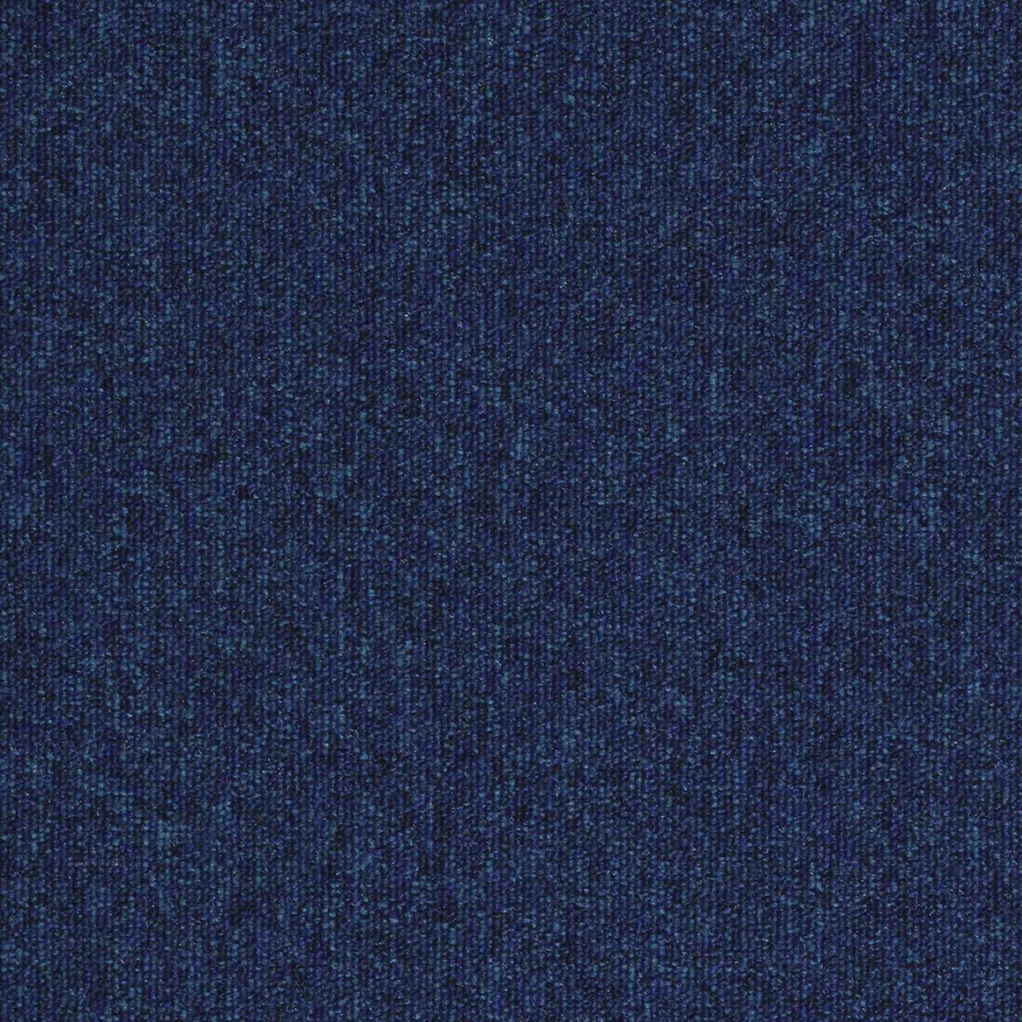 paragon workspace loop carpet tile Blue