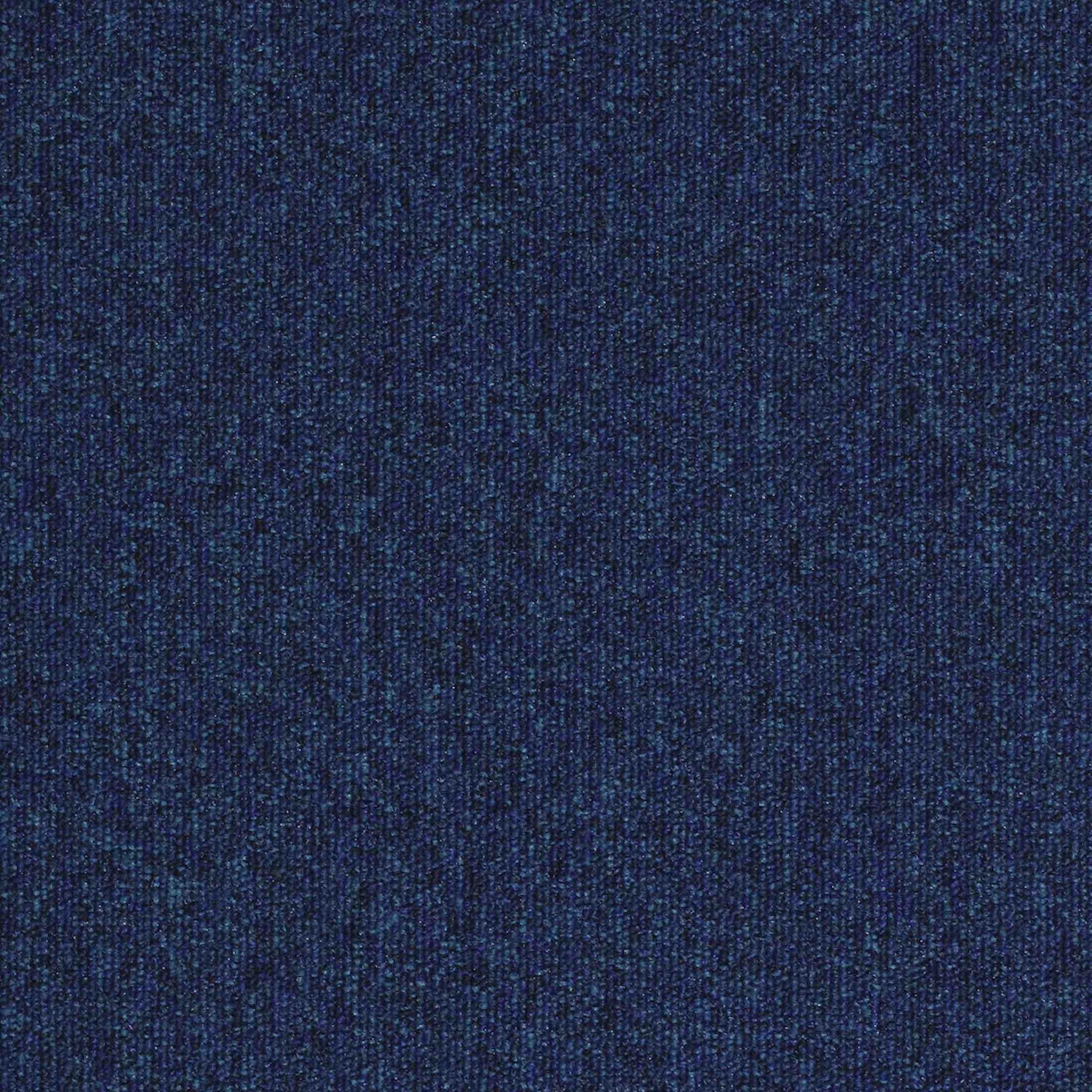 paragon workspace loop carpet tile Blue