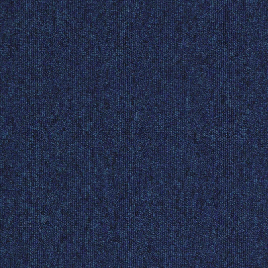 paragon workspace loop carpet tile Blue