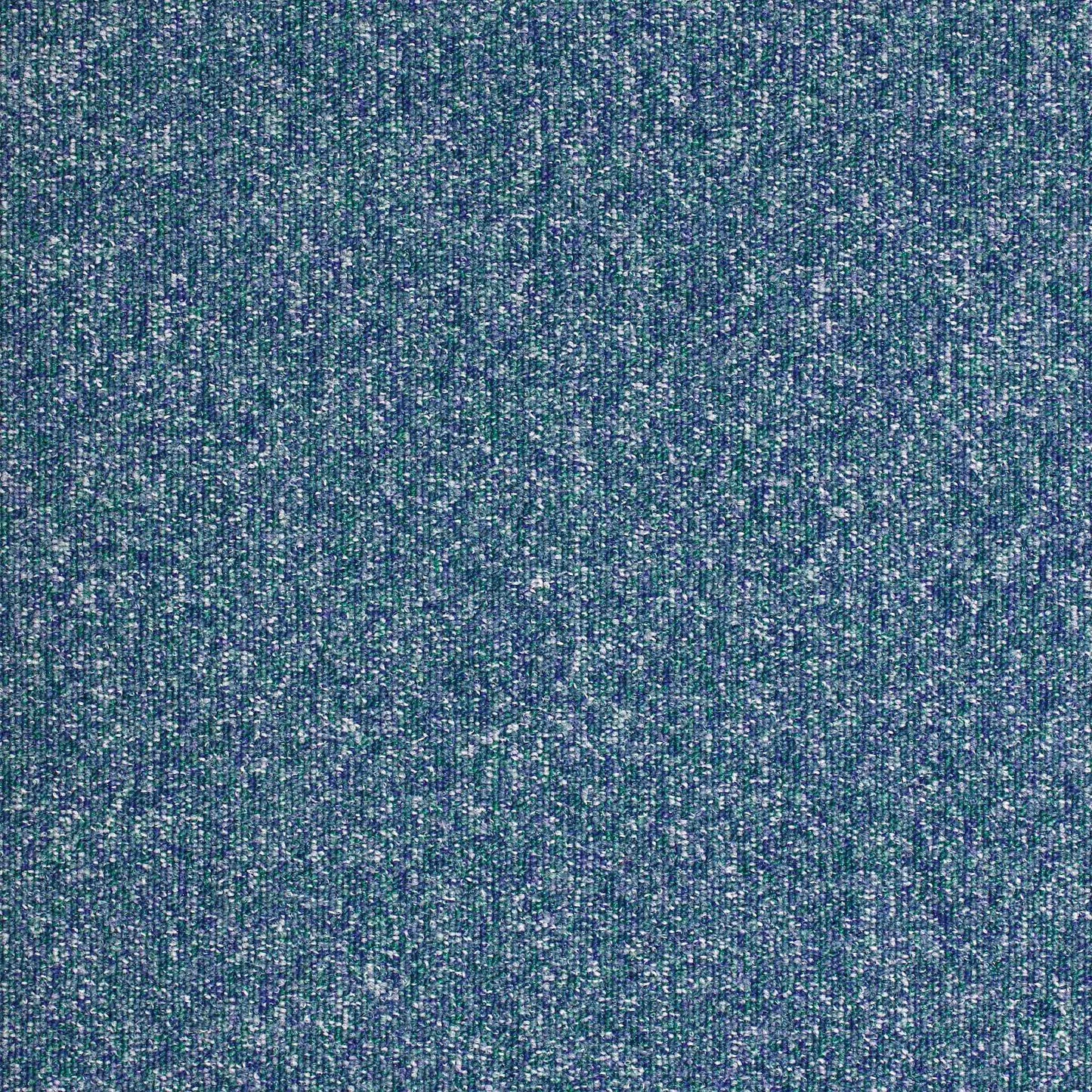 paragon workspace loop carpet tile Blue